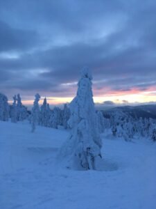 Skiausflug 2019 6